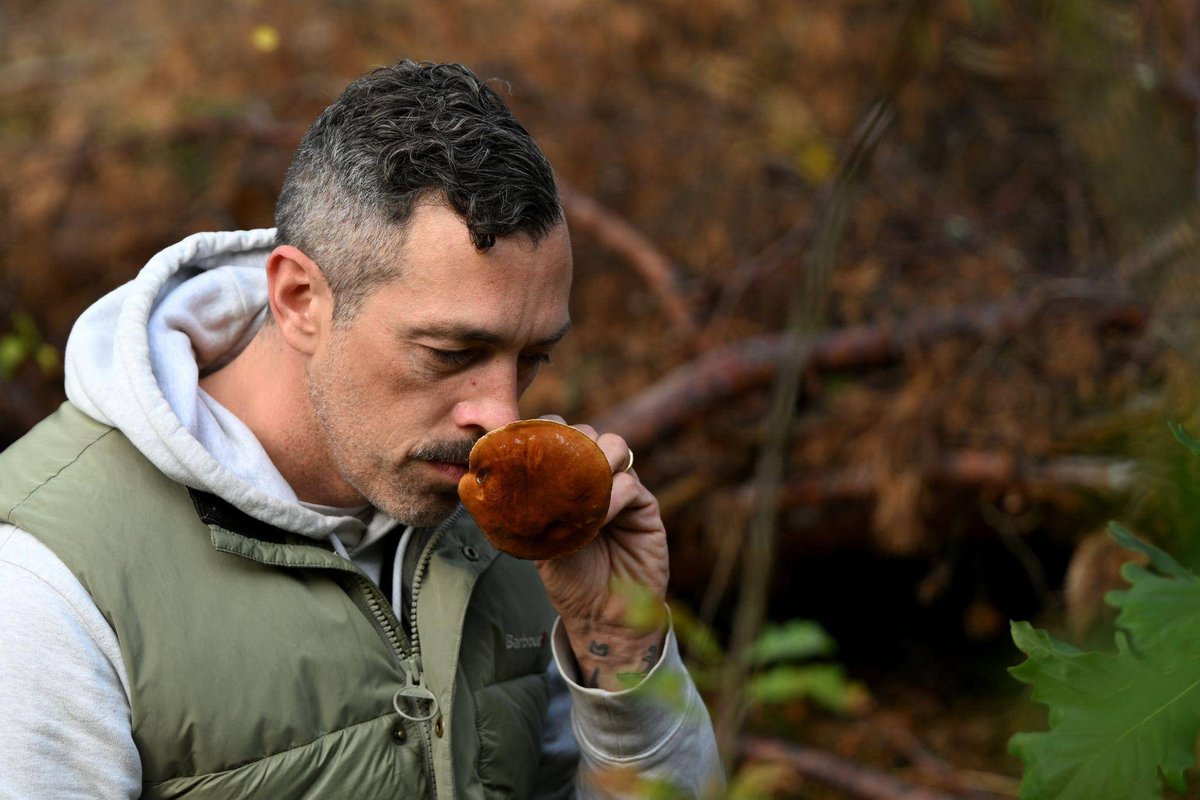 Zeuthen | Trendhobby Pilzesammeln: Der Wald als «bullshitfreie Zone»