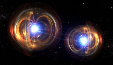 Biologischen Quanteneffekten auf der Spur