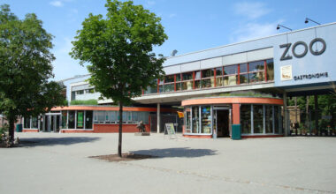 Weniger Besucher: Dresdner Zoo fehlen 858.000 Euro
