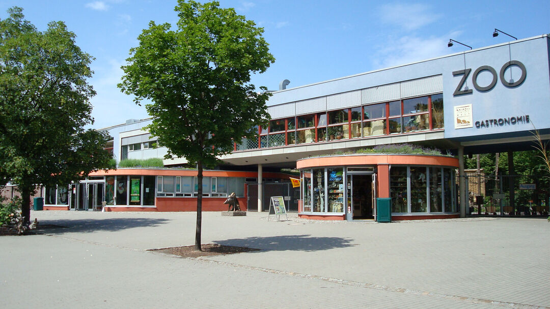 Weniger Besucher: Dresdner Zoo fehlen 858.000 Euro