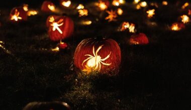 Gruselspaß und Kürbisglanz – Halloween in Leipzig & Region