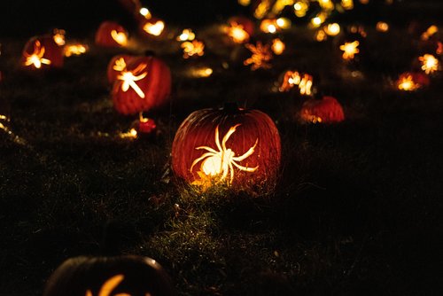 Gruselspaß und Kürbisglanz – Halloween in Leipzig & Region