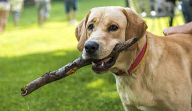 einfacher und digitaler - Stadt Leipzig