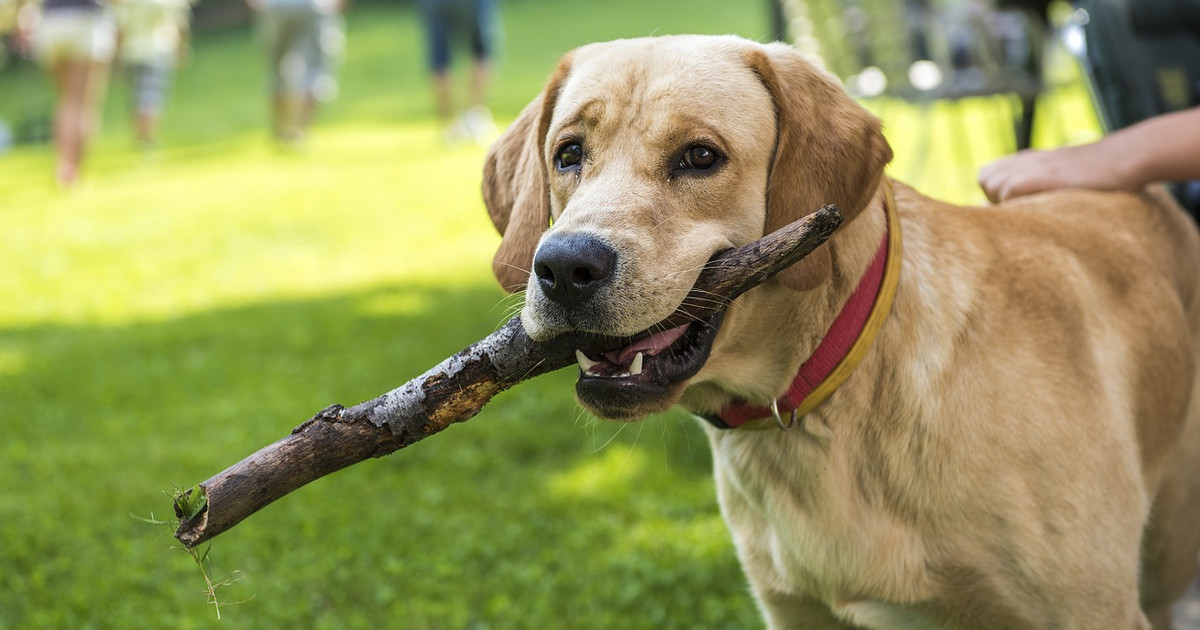 einfacher und digitaler - Stadt Leipzig