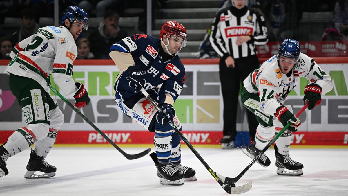 Wild Wings verlieren zuhause gegen Augsburg 3:5