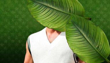 Dschungelcamp 2026: Größter Trash-TV-Cansanova soll einziehen | Unterhaltung