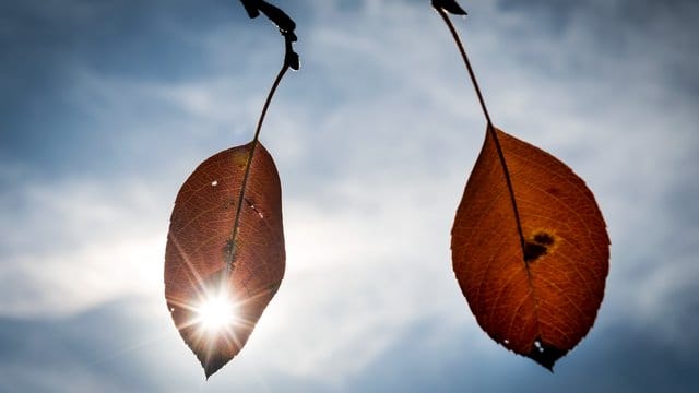 Sonniger Herbst Sonniger Herbst