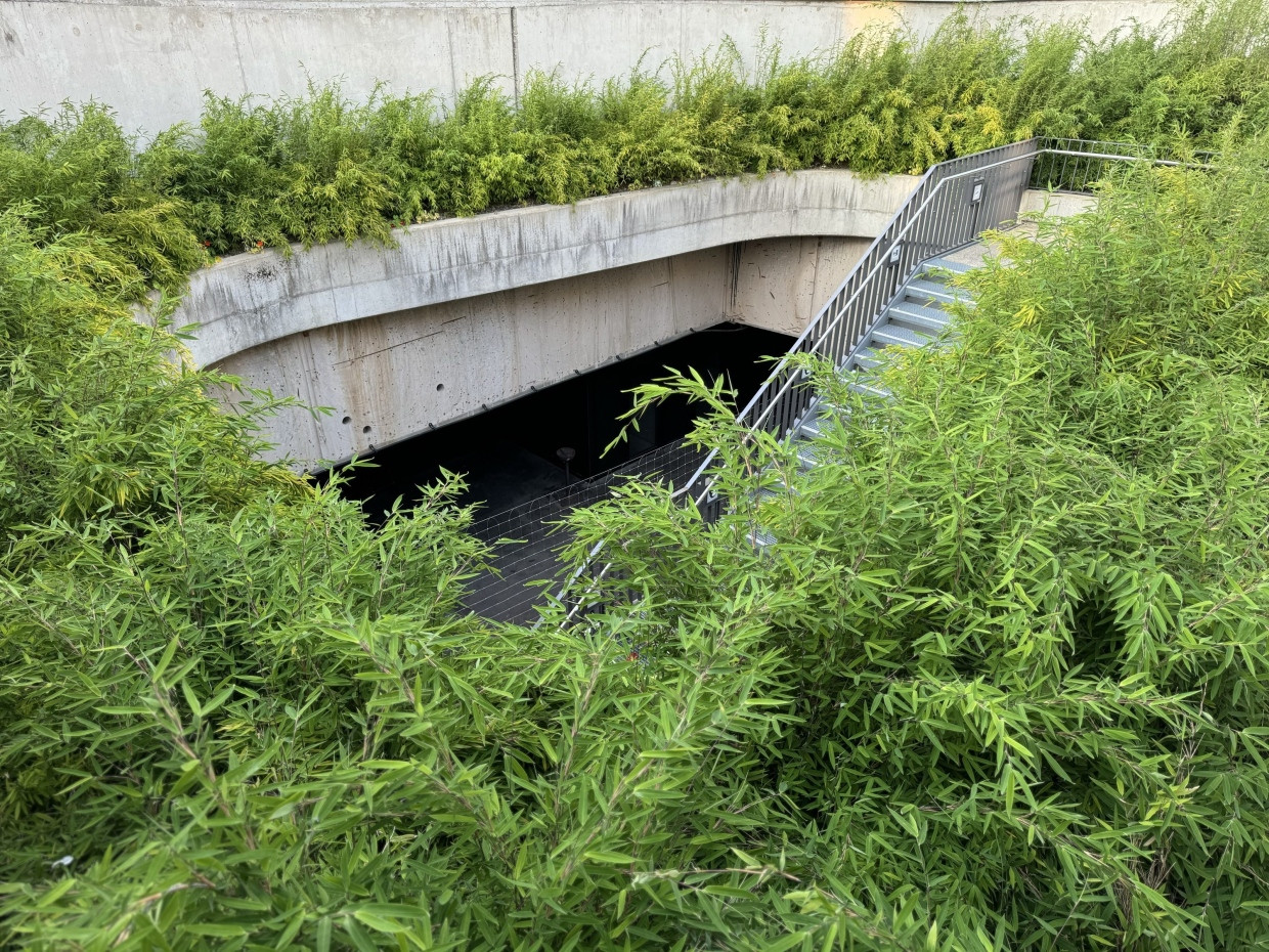 Der Eingang des Clubs Open Ground“ – ein alter Weltkriegsbunker, umgebaut