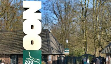 Zoo-Besucher in NRW bekommen Geld – damit können sie gar nicht bezahlen