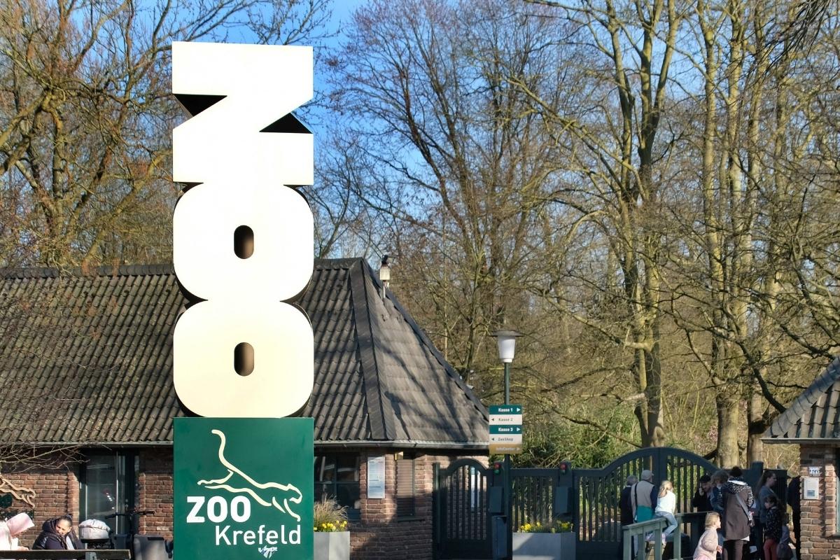 Zoo-Besucher in NRW bekommen Geld – damit können sie gar nicht bezahlen