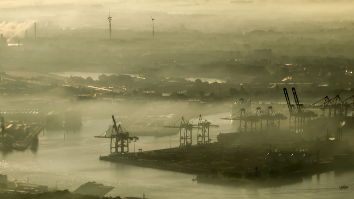 Volksentscheid: Vision trifft Wirklichkeit – Hamburg und der Streit um die Klimaziele