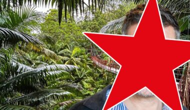 "Ich bin ein Star - Holt mich hier raus!": GZSZ-Star Hardy Krüger Jr. soll Dschungelcamp aufmischen