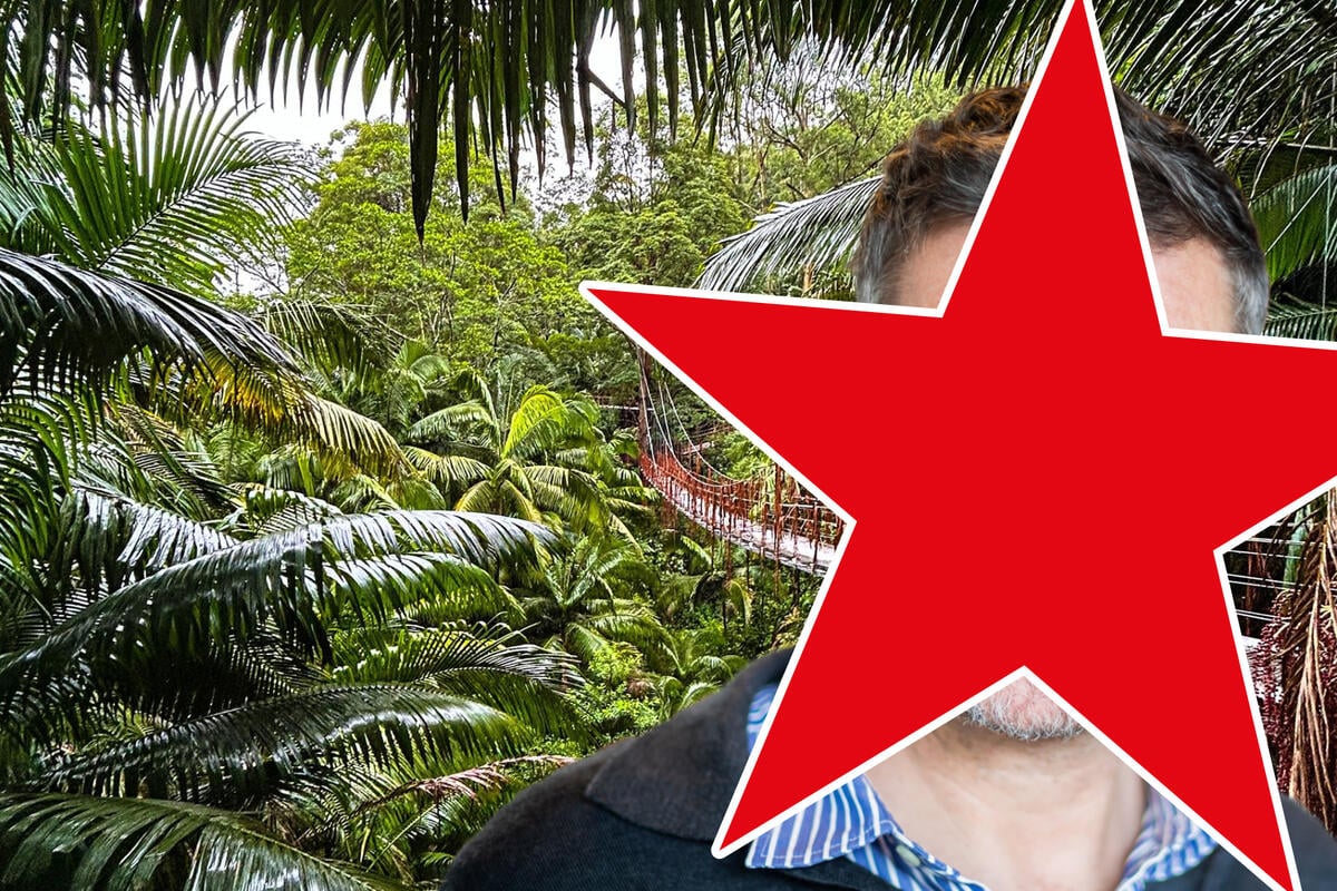 "Ich bin ein Star - Holt mich hier raus!": GZSZ-Star Hardy Krüger Jr. soll Dschungelcamp aufmischen