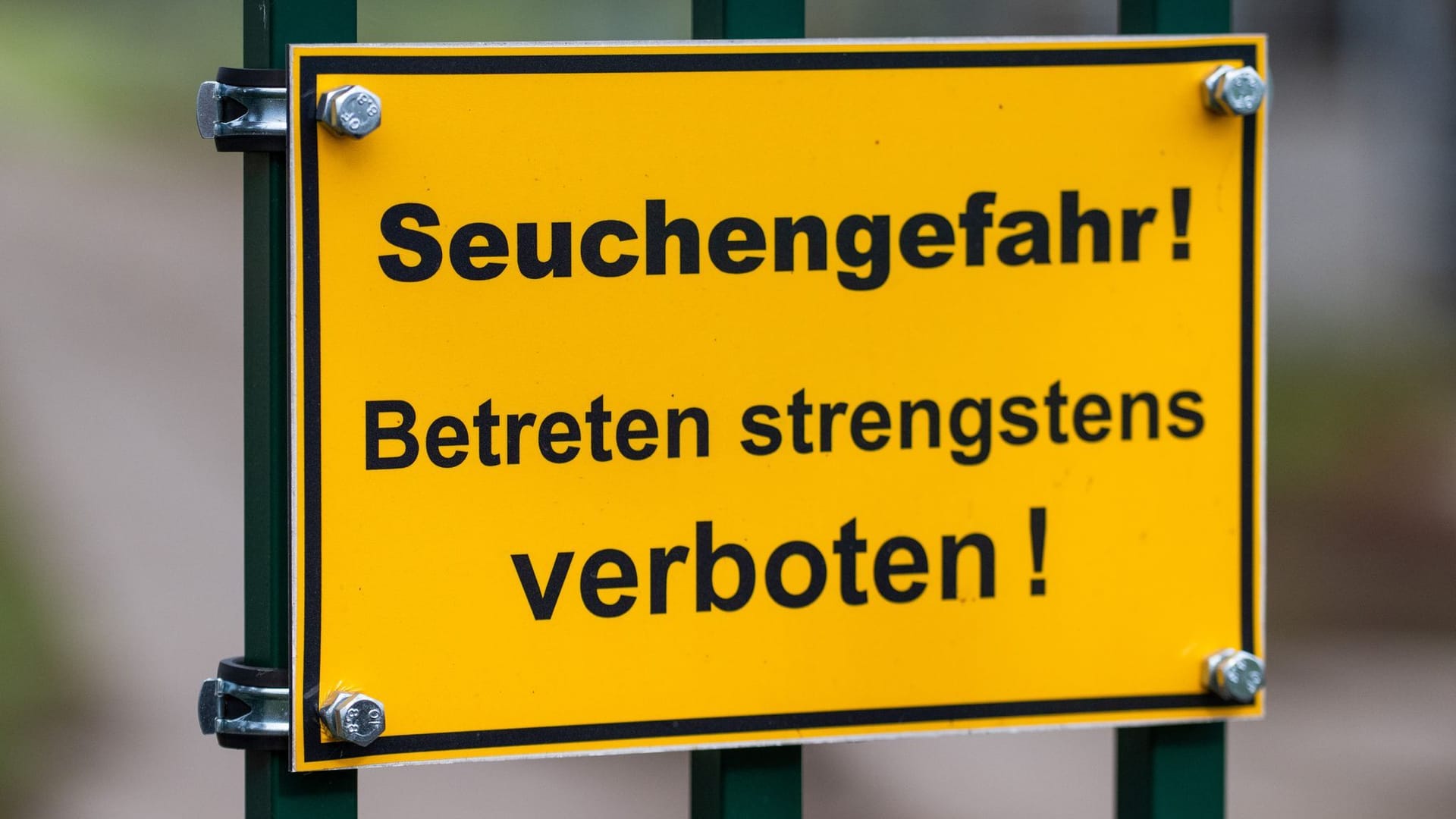Vogelgrippe in Brandenburg Vogelgrippe in Brandenburg