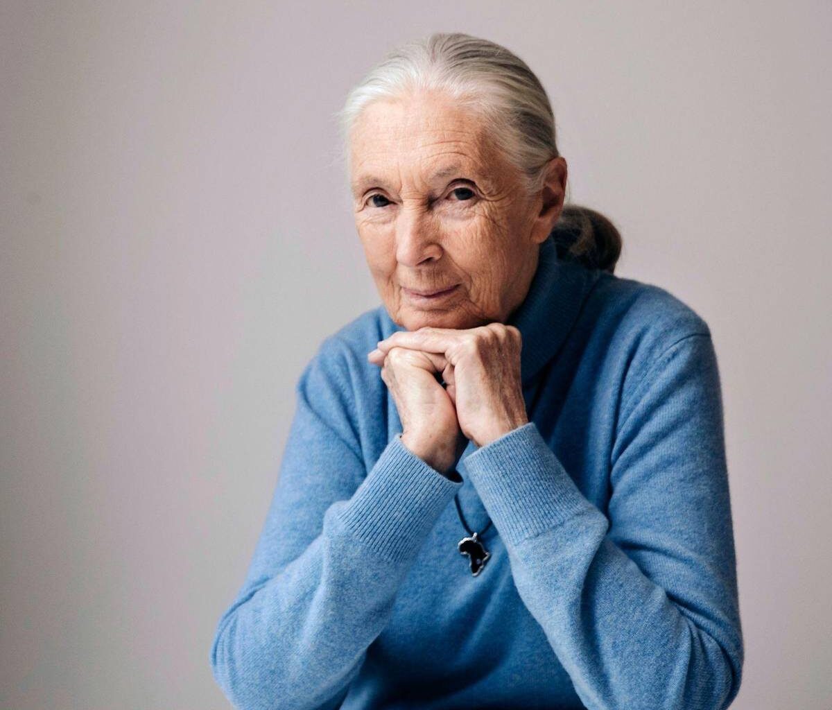 «Schimpansen-Mama» Jane Goodall ist tot