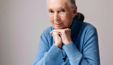 «Schimpansen-Mama» Jane Goodall ist tot