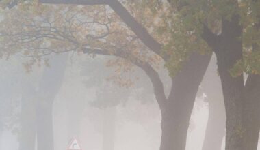 Mix aus Nebel, Sonne, Regen - keine Wetteränderung in Sicht