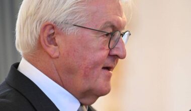 Steinmeier zweifelt am Losverfahren für Wehrdienst