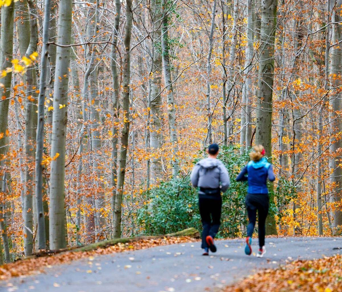 Wochenende wird vielerorts sonnig - Nachtfrost im Osten