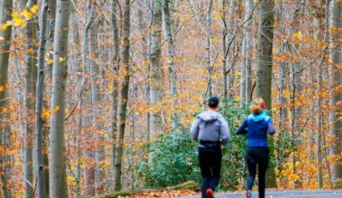 Wochenende wird vielerorts sonnig - Nachtfrost im Osten