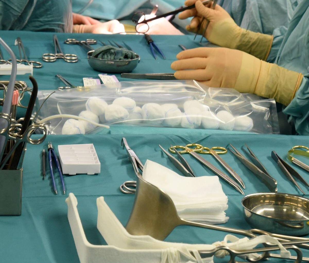 Organspende wird reformiert - Wie zu mehr Nieren?