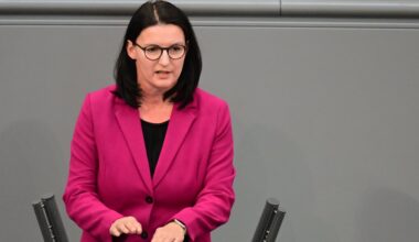 Grünen-Politikerin erwägt Einschränkung des Fragerechts der AfD - WELT