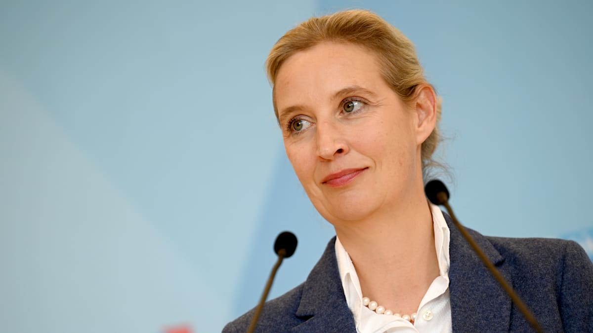 Umfrage: AfD erreicht neuen Höchstwert – Schwarz-Rot fällt auf schlechtesten Wert seit sechs Jahren