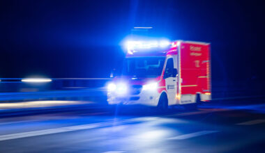 Katze überquert Straße in Everswinkel: Zwei Verletzte