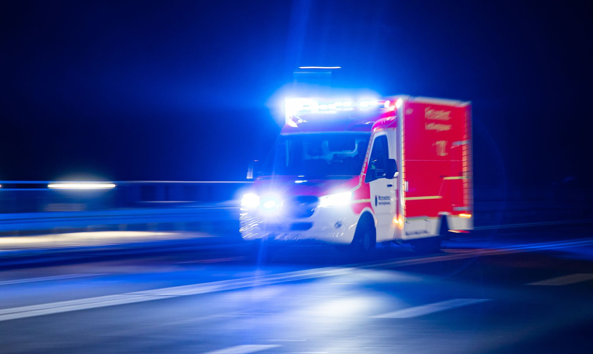 Katze überquert Straße in Everswinkel: Zwei Verletzte