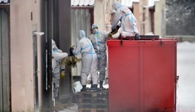 Seuche in Duisburg! Warnung an Hunde-Halter ++ Zoo in Alarmbereitschaft