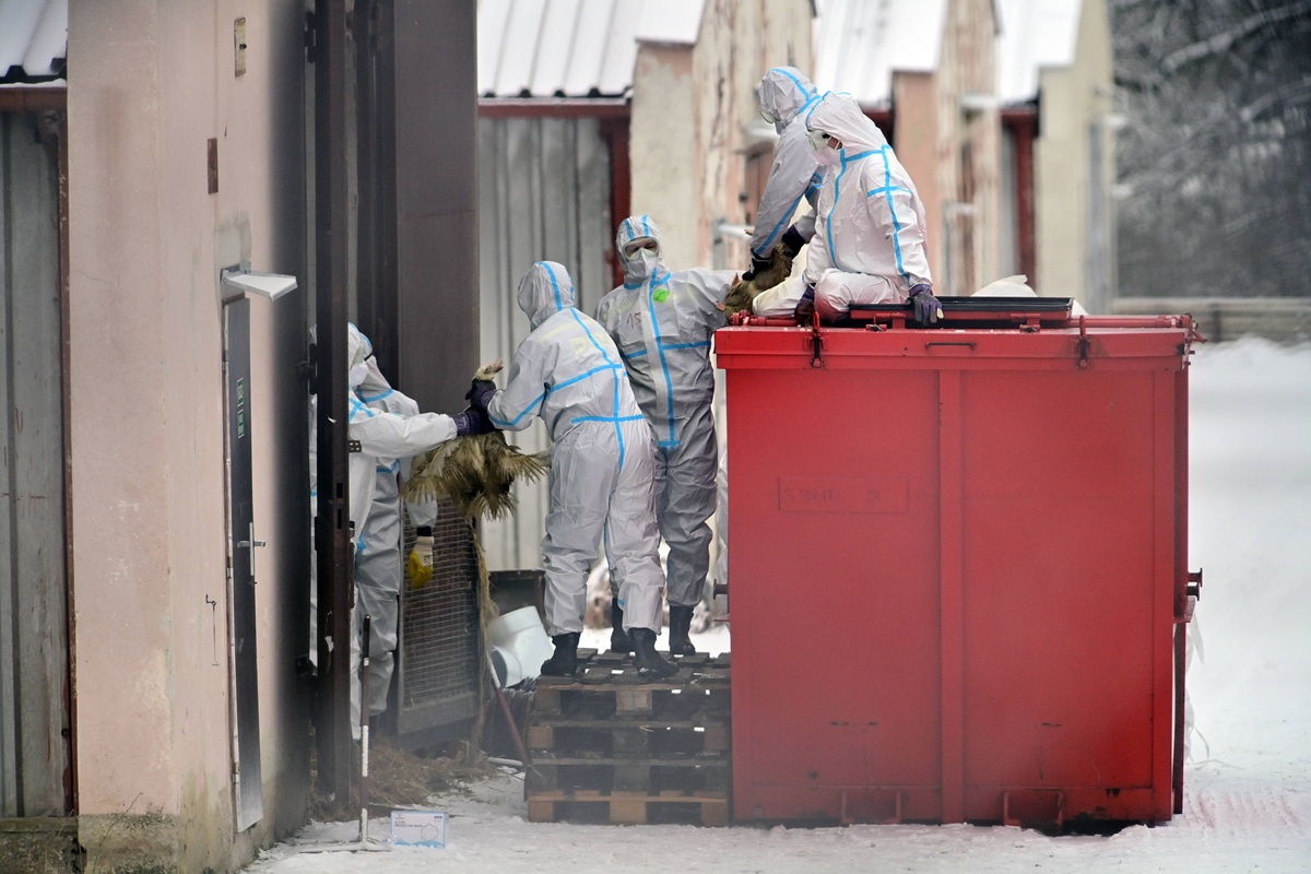 Seuche in Duisburg! Warnung an Hunde-Halter ++ Zoo in Alarmbereitschaft