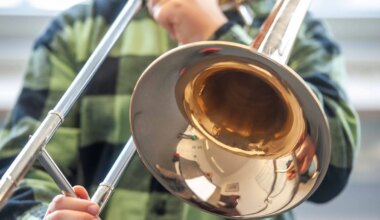 Den Kommunen geht das Geld aus: Bayerns Musikschulen können sich dennoch sicher fühlen - Bayern