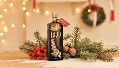 Testsieger Bio-Olivenöl aus Frankreich – Limited Christmas Edition 2025