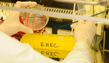 Bio-Sprossen wegen möglicher EHEC-Erreger zurückgerufen
