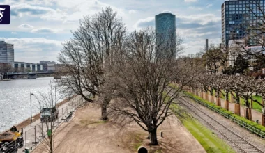 Frankfurt stärkt nachhaltige Beschaffung mit neuer Projektstelle