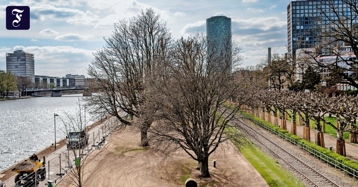 Frankfurt stärkt nachhaltige Beschaffung mit neuer Projektstelle