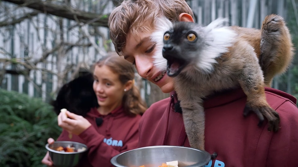 Teenie-Alarm bei neuer Staffel von Elefant, Tiger und Kids