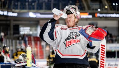 In pinken Trikots, aber ohne Will Graber aufs Eis gegen Mannheim