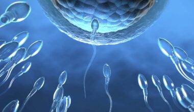So stark nehmen Mutationen in Spermien mit dem Alter zu