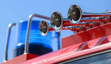 Feuerwehr rettet eingeklemmte Katze in Dresden