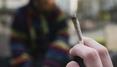 Cannabis in Moers & Co.: Anbauvereine starten schleppend