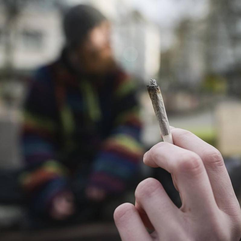 Cannabis in Moers & Co.: Anbauvereine starten schleppend