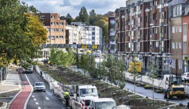 Dickswall: neue Grüninsel bekommt Pflanzen