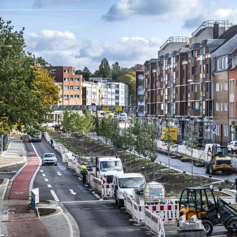 Dickswall: neue Grüninsel bekommt Pflanzen