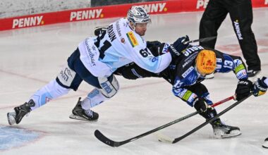 DEL: Dresden darf lange vom Auswärtssieg träumen, dann schlägt Bremerhaven eiskalt doppelt zu