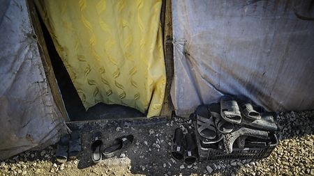 Eine gemeinsame europäische Flucht- und Migrationspolitik
