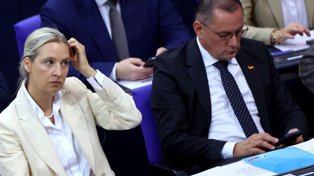 Kontroverse um Urheberrecht: Texte von Alice Weidel „geklaut“? AfD-Chefin erhebt Vorwürfe gegen Magazin „The European“