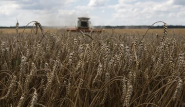 Russlands Krieg und das gestohlene Getreide der Ukraine