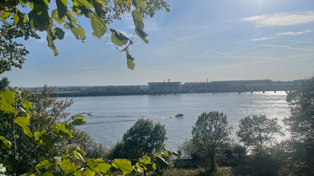 Hamburg votiert gegen die Klimaleugner