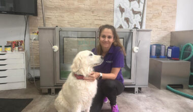 Hunde-Expertin klärt über Irrglauben von Haltern auf – es drohen heftige Folgen